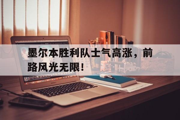 亚博体育APP-墨尔本胜利队员